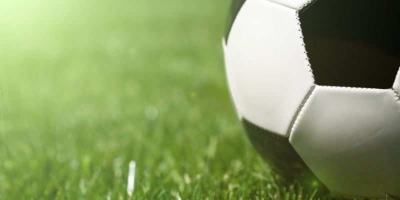 Quiz do Palmeiras: você é um verdadeiro palestrino?